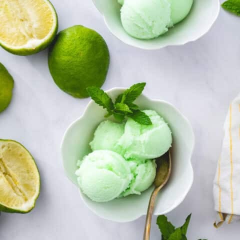 Raspberry Sherbet – A Couple Cooks