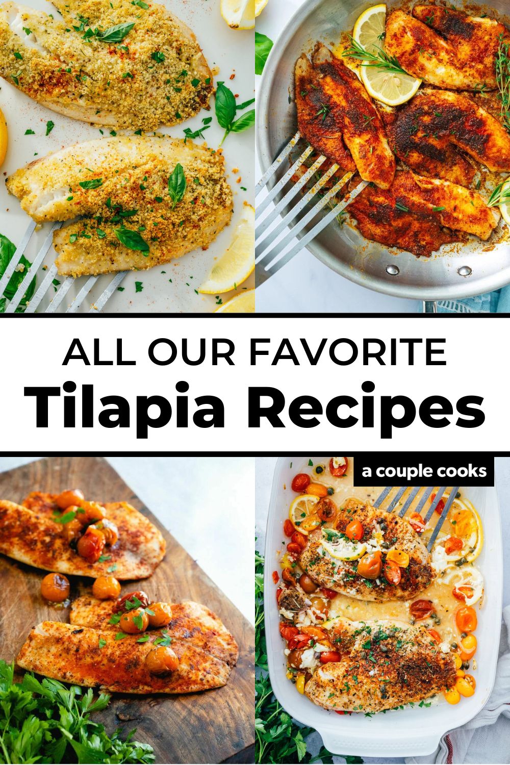 15 Tilapia Recipes Everyone Will Love – A Couple Cooks