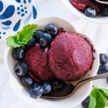 Blueberry Sorbet