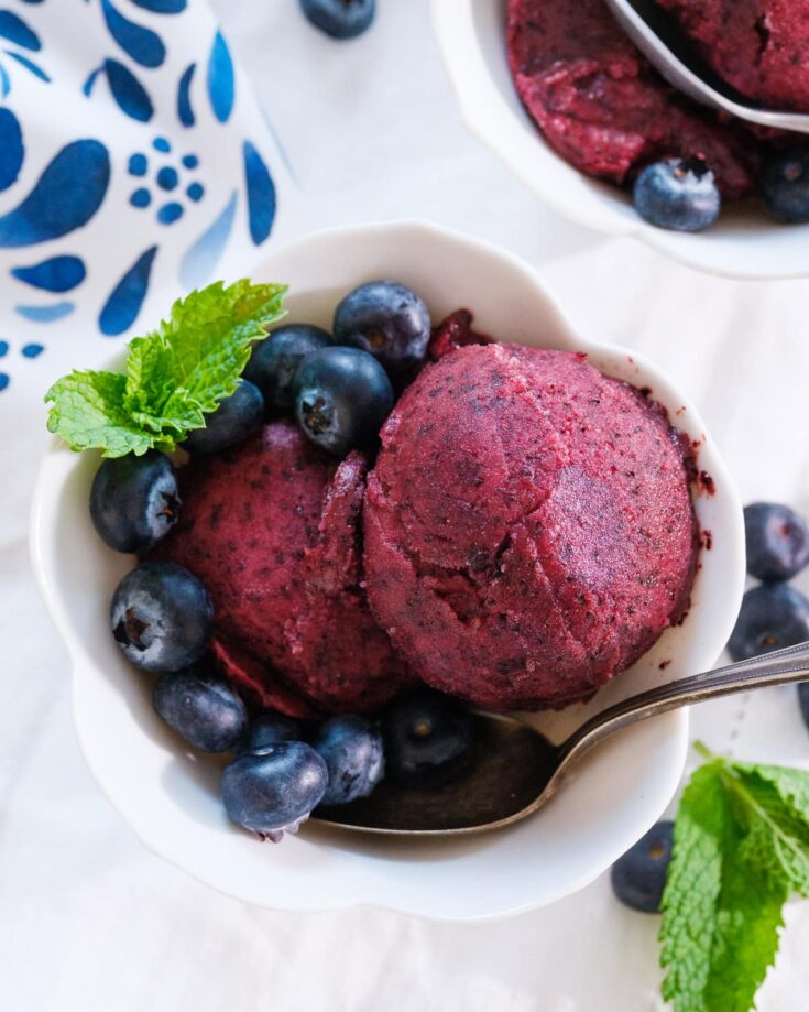 Blueberry Sorbet
