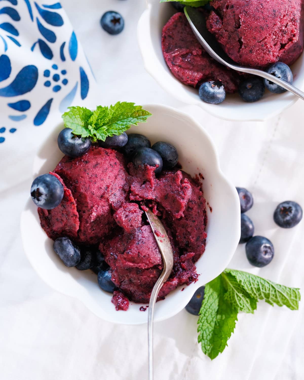 Blueberry Sorbet